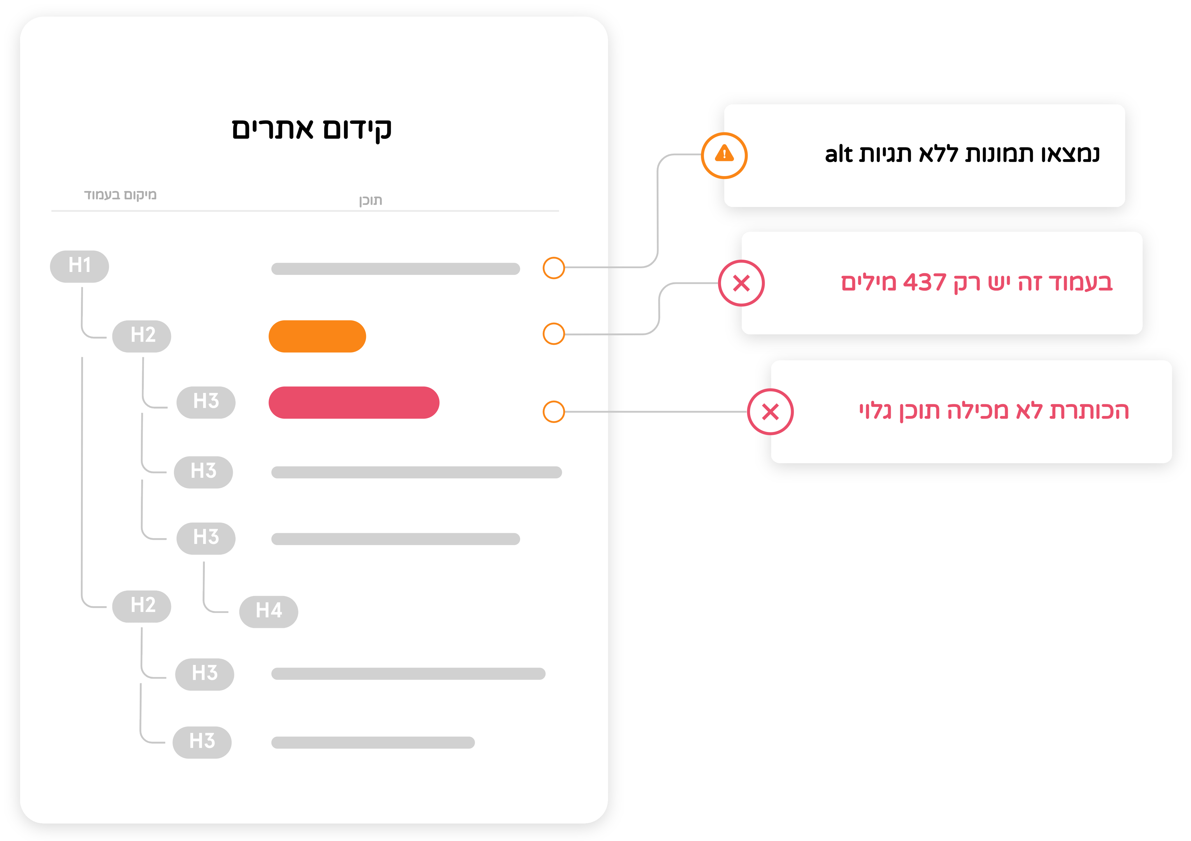 MGT Force - מומחים לקידום אורגני באתרי וורדפרס